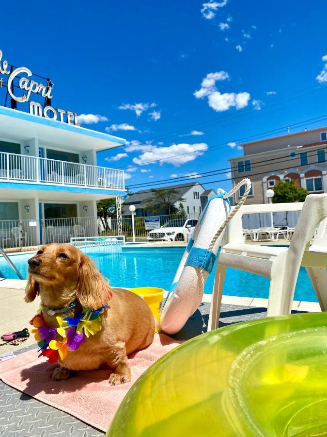 Isle Of Capri Motel Норт-Вайлдвуд Экстерьер фото